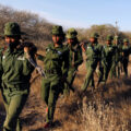 Members of Team Lioness, an all-female Kenyan ranger unit, collect firewood while patrolling at Risa camp, where they stay due to the coronavirus disease (COVID-19) outbreak, within the Olgulului conservancy in Amboseli, Kenya August 7, 2020. Picture taken August 7, 2020. REUTERS/Njeri Mwangi