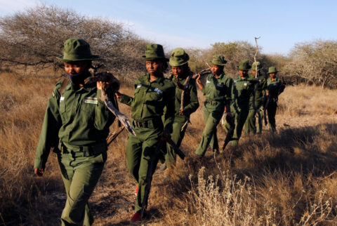 Members of Team Lioness, an all-female Kenyan ranger unit, collect firewood while patrolling at Risa camp, where they stay due to the coronavirus disease (COVID-19) outbreak, within the Olgulului conservancy in Amboseli, Kenya August 7, 2020. Picture taken August 7, 2020. REUTERS/Njeri Mwangi