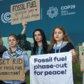 Environmental activists protest against the continued use of fossil fuels during the United Nations Climate Change Conference (COP29), in Baku, Azerbaijan November 14, 2024. REUTERS/Aziz Karimov