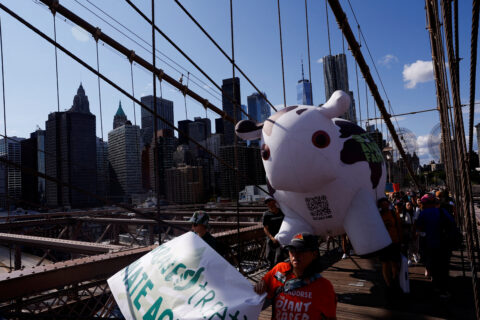 Demonstrators march across Brooklyn Bridge rallying to call to an end to the era of fossil fuels, as part of global day of action on 9/20 calling on Polluters, Funders, and Leaders to ditch fossil fuels, from Foley Square in New York City, U.S. September 20, 2024