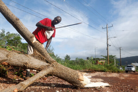 Val Mitchell uses a machete to chop a downed tree on a dirt road, after Hurricane Melissa made landfall in Manchester, Jamaica