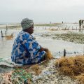 a seaweed farmer in Tanzania. A tale of two women: What climate vulnerability actually looks like