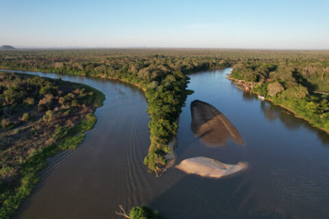 A view of Brazil's Pantanal wetland
