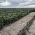 An aerial view of a deforested zone in "Ñembi Guasu" conservation area, in Bolivia.
