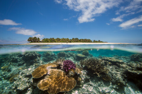 The reef surrounding Namotu Island, Fiji, has experienced serious coral bleaching caused by increasing ocean temperatures.