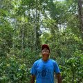 UN oks carbon market safeguards to protect environment and human rights