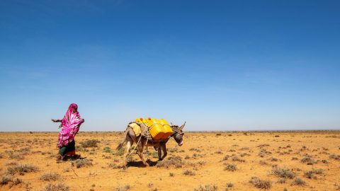 "Forgotten" fragile states unite to end climate-finance blind spot