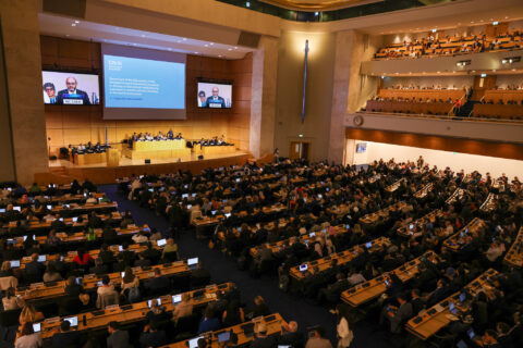 Plenary of the Intergovernmental Negotiating Committee on plastic pollution, which is meeting in Geneva to finalise a landmark agreement.