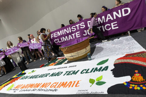 Activists say COP30 row on human rights language reflects wider threat