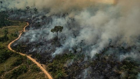 Brazil's funding plan can help bring rainforests back - if done right