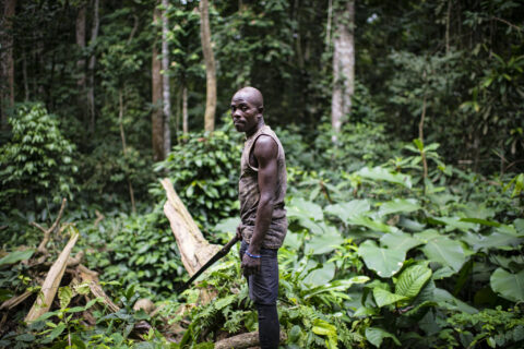 2025 is the year to invest in forests - and the people who depend on them