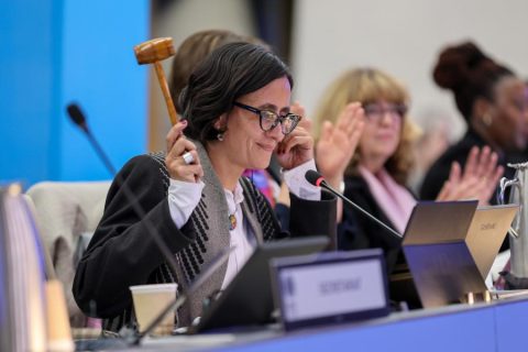 COP 16 President Susana Muhamad from Colombia at the closing plenary in Rome. (Photo: IISD/Earth Negotiations Bulletin)