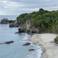 COP16 confronts "huge" challenge of protecting 30% of world's land and sea