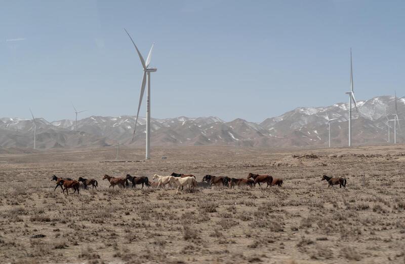 Q&A: China set to stay the course on green policies, despite Trump   