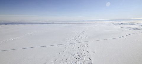 The crack in the Pine Island Glacier in Antarctica (Source: NASA/Michael Studinger)