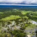 Will Indonesia's new carbon market be a solution o face problems?  