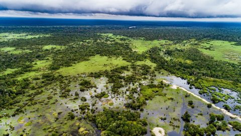 Will Indonesia's new carbon market be a solution o face problems?  