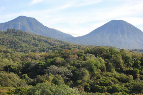 Giving nature breathing room builds climate resilience