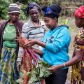 Spring Meetings can jump-start financial reform for food and climate 