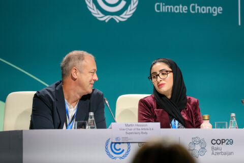 The UN carbon market needs rules that count - we've just set them
